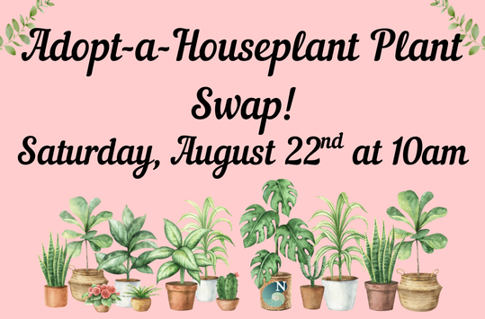 Adopt a Houseplant Saturday August 22 at 10am