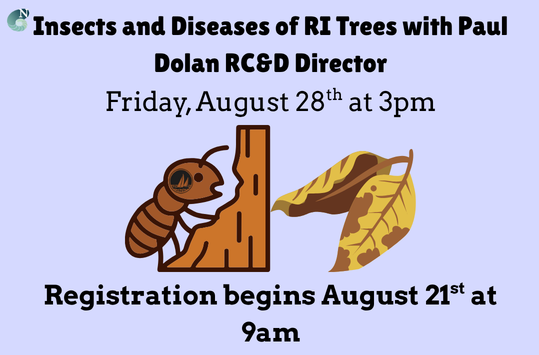 Insects and Diseases of RI Trees Friday August 28 at 3pm
