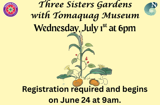 Three Sisters Garden with Tomaquag Museum Wed July 1 at 6pm