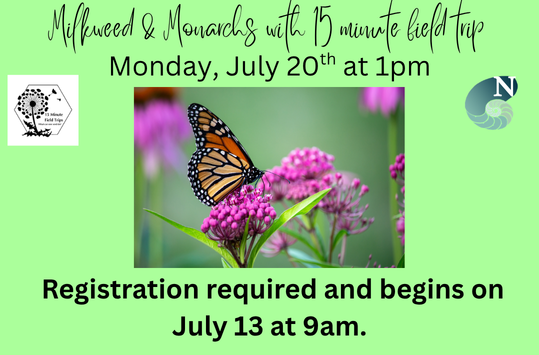 Milkweed and Monarchs with 15 Minute Field Trips Monday July 20 at 1pm